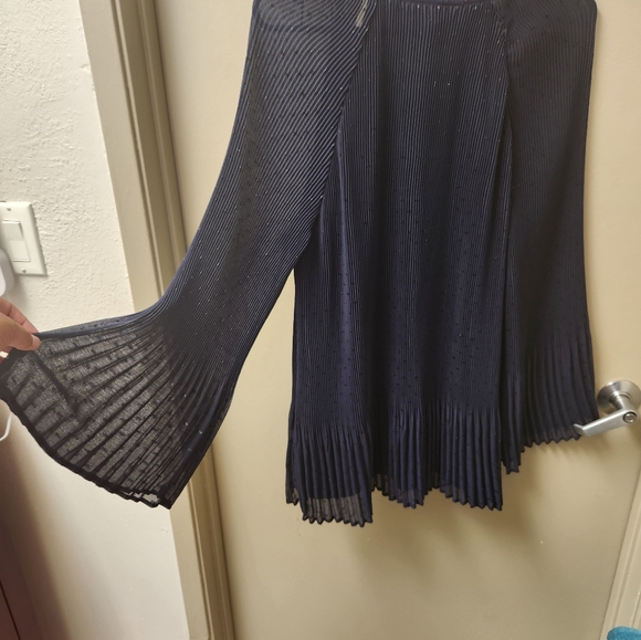 Roz & Ali 1X Dark Blue Pleated Sheer Sequined Blouse - Picture 4 of 5